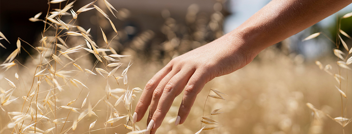 innovaciones en la industria del procesamiento de granos