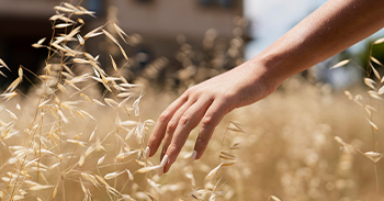 grain processing industry